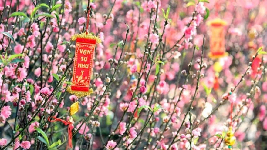 Chính thức: Lịch nghỉ Tết Nguyên đán và Quốc khánh năm 2026